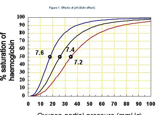 bohr_effect.jpg